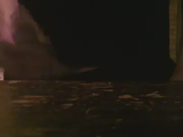 Cam4 Adult Webcam of Mafkees055