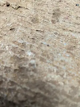 Rafaeltomas from cam4