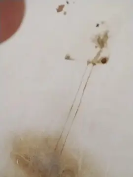 Cam4 Live Sex Cam of Blackxxeee