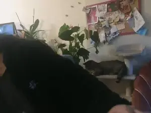 Cam4 Live Sex of JudaSx666