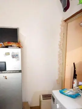 Cam4 Adult Webcam of halx19