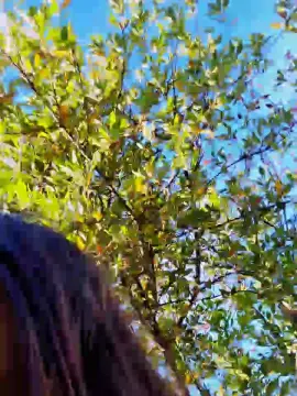 Cam4 Adult Video Chat of fragile7883