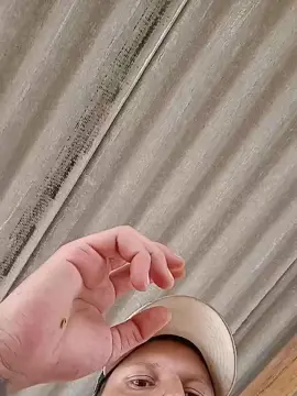 Cam4 Best Webcam of AgroMG7