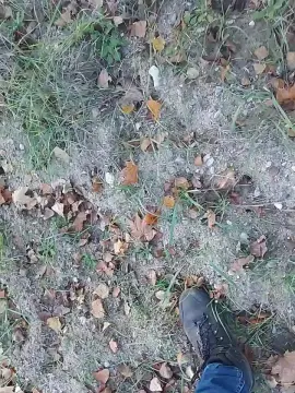 Cam4 Adult Video Chat of Gym2