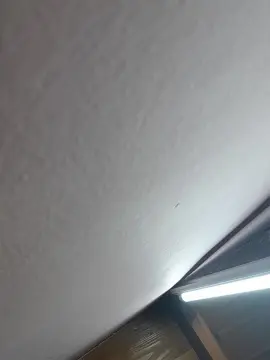 Cam4 Live Sex Cam of r0m44