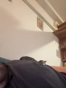 Cam4 Adult Webcam of 88Teddy_Nerd