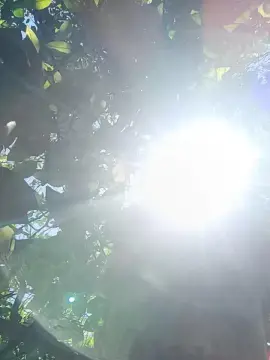 Cam4 Nude Webcam of TheArBoy