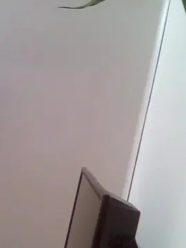 Cam4 Sex Chat of VioletaStill