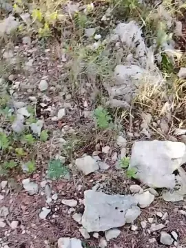 Cam4 Live Porn of circoncise4