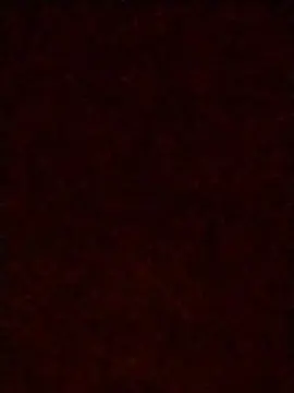 Cam4 Best live sex cam show of dondxxx_hot