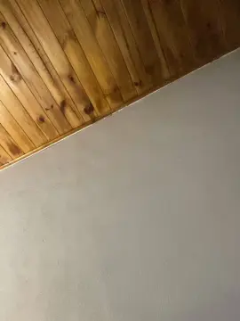 Cam4 Best Webcam of DelfiVarez