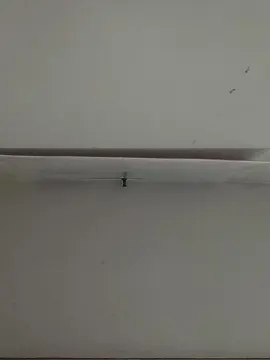 Cam4 Free Live Porn of angel0371