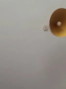 Cam4 Free Live Porn of Mamasiiita24