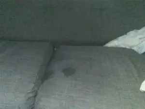 Cam4 Live Porn of orgasman5