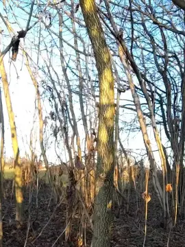 Cam4 Private Sex Chat of slipfun_sexy