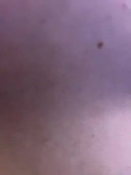 Cam4 Sex Chat of Pareja_vregion