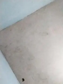 Cam4 Sex Chat of Veracruz789