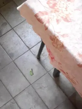 Cam4 Sex Cam of Karilan692