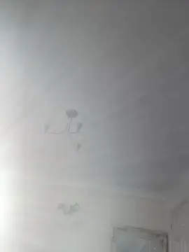 Cam4 Live Porn of JKLulu7374