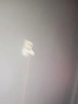 Cam4 Nude Webcam of romerin20