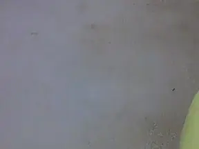 Cam4 Live Sex Cam of annissasexy2