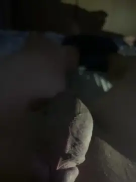 Cam4 Free Porn Cam of nahuj3