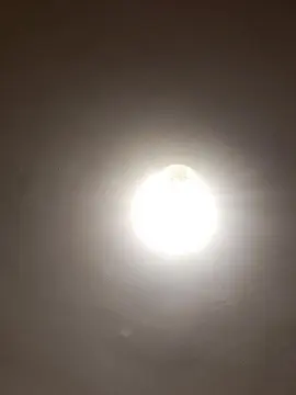 Cam4 Live Porn of JoKer1992C