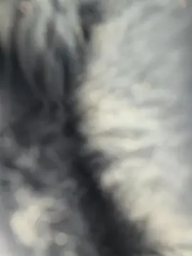 Cam4 Best Webcam of Moskita69