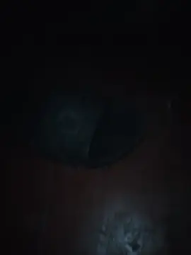 Cam4 Live Sex Cam of davidovdima35