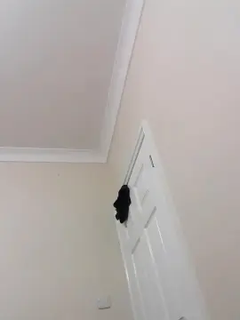 Cam4 Live Sex Cam of Sexy1992q7