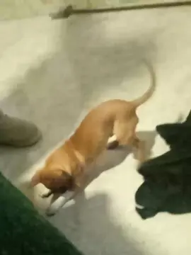 Cam4 Nude Webcam of Tumorvosa