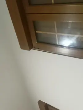 Cam4 Free Live Porn of Tumorvosa