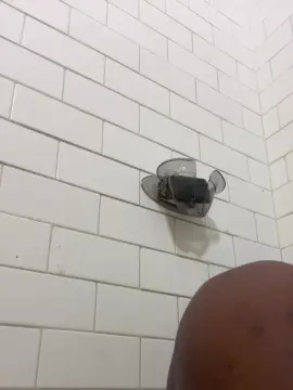 Cam4 Live Sex Cam of Daddyduemoore