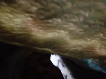 Cam4 Adult Video Chat of Negro_vergoon