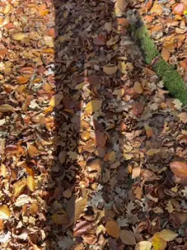 Cam4 Adult Webcam of aragon5752