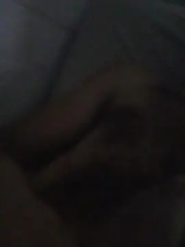 Cam4 Adult Video Chat of Anueel32