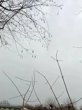 Cam4 Private Sex Chat of ragazzoporco83