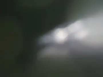 Cam4 Nude Webcam of Bomvemcam