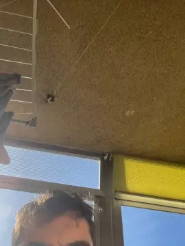 Cam4 Live Sex of nene_guapete