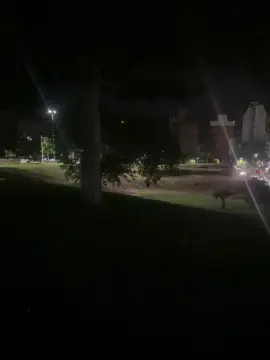 Cam4 Free Live Porn of Laoquedad