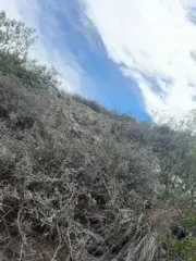 Cam4 Adult Webcams of Laoquedad