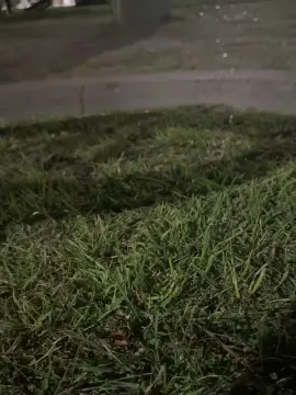 Cam4 Nude Webcam of Laoquedad