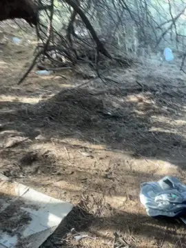 Cam4 Live Sex Cam of Laoquedad