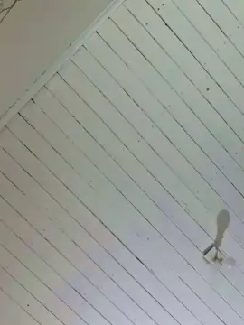 Cam4 Sex Chat of Caritovivi