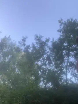 Cam4 Adult Webcams of PeterParker1996