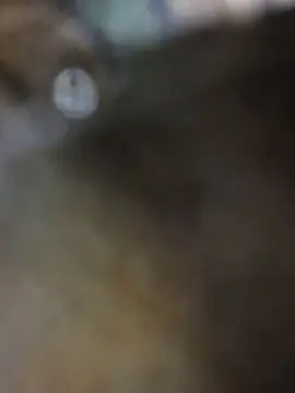 Cam4 Live Porn of gotthatthang96