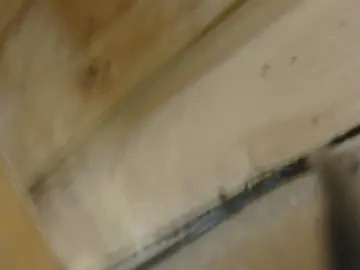 Cam4 Best Webcam of alteria1964