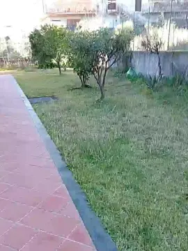 Cam4 Live Sex of Aquila183