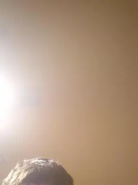 Cam4 Live Porn of Jt14