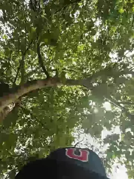 Cam4 Best live sex cam show of Tooooouchme